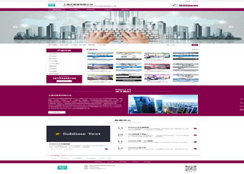 底特律洛杉矶网站设计-自适应网站模板509G(粉色版)