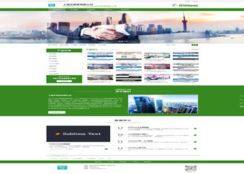 纽约洛杉矶网站建设-自适应网站模板509H(浅绿色版)